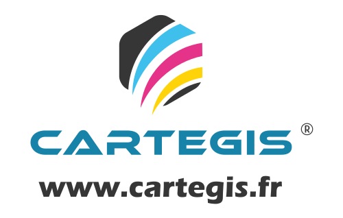 Logo de CARTEGIS